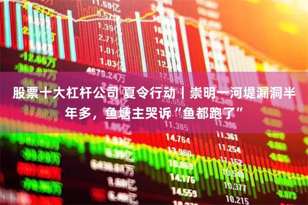 股票十大杠杆公司 夏令行动｜崇明一河堤漏洞半年多，鱼塘主哭诉“鱼都跑了”